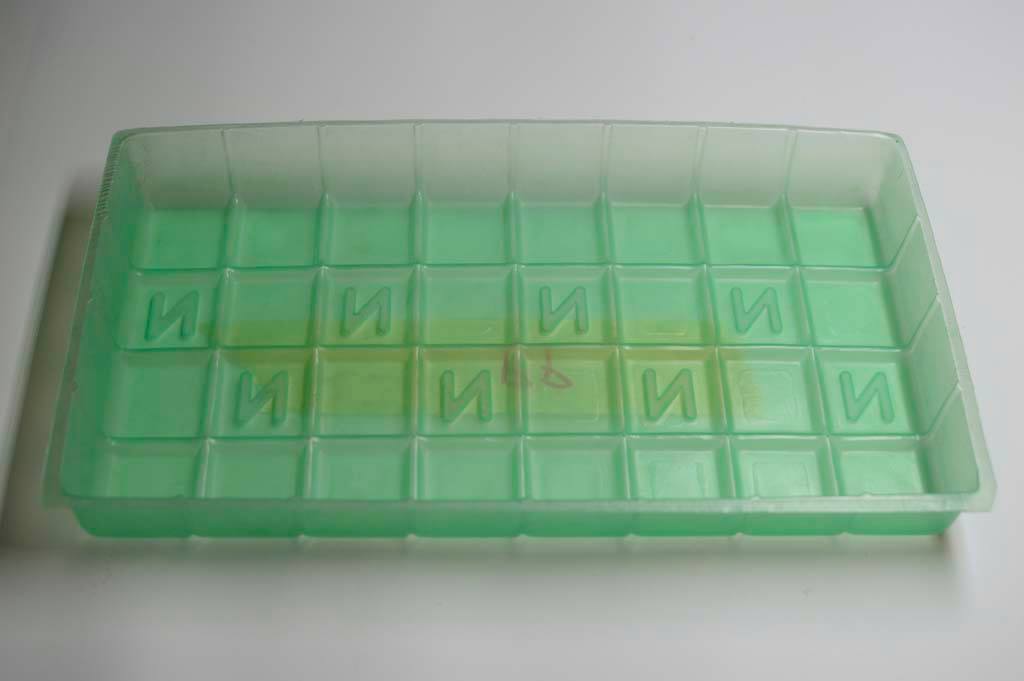 rectangular-plastic-trays